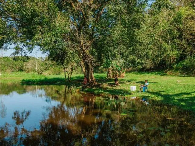 Sítio e chácara venda em Região Geográfica Imediata de Paranaguá, Antonina