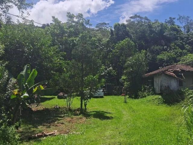 Sítio e chácara venda em Jardim Maria Luiza, Antonina