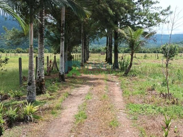 Sítio e chácara venda em Penha, Antonina