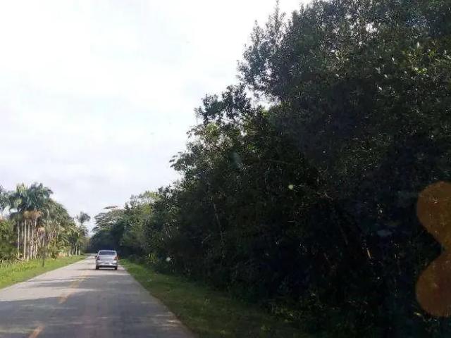 Sítio e chácara venda em Região Geográfica Imediata de Paranaguá, Antonina