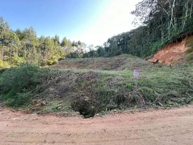 Sítio e chácara venda em Região Geográfica Imediata de Florianópolis, Antônio Carlos