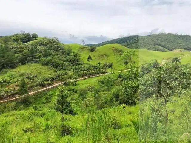 Sítio e chácara venda em Região Geográfica Imediata de Florianópolis, Antônio Carlos