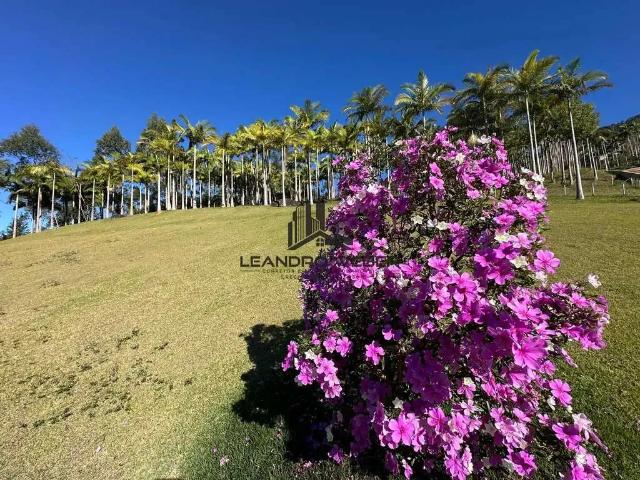 Sítio e chácara venda em Região Geográfica Imediata de Florianópolis, Antônio Carlos