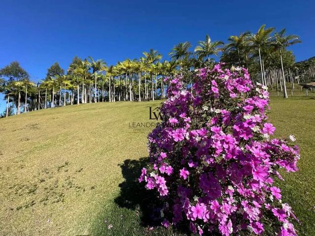 Sítio e chácara venda em Região Geográfica Imediata de Florianópolis, Antônio Carlos