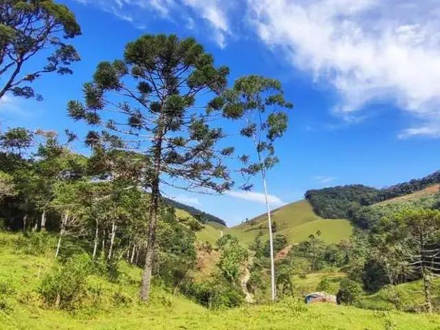 Sítio e chácara venda em Região Geográfica Imediata de Florianópolis, Antônio Carlos