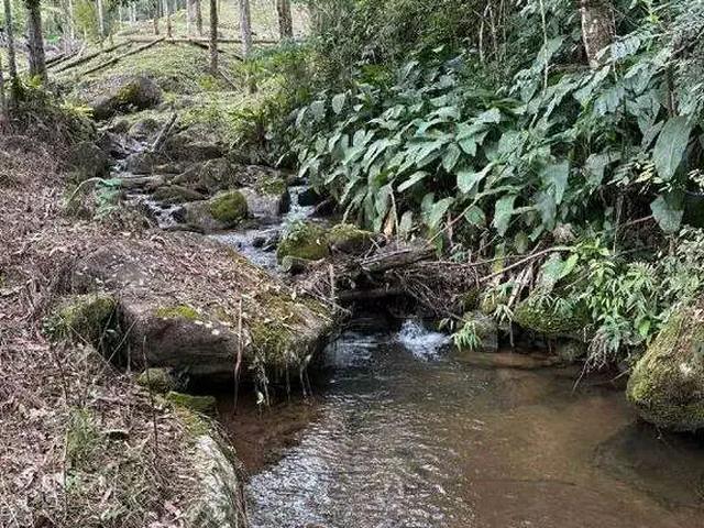 Sítio e chácara venda em Região Geográfica Imediata de Florianópolis, Antônio Carlos