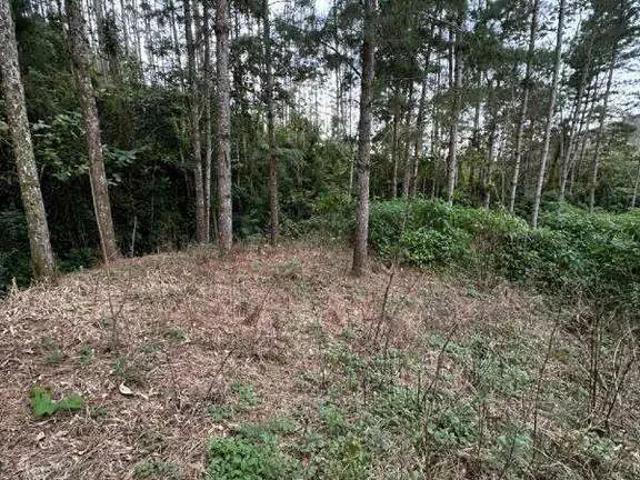 Sítio e chácara venda em Região Geográfica Imediata de Florianópolis, Antônio Carlos