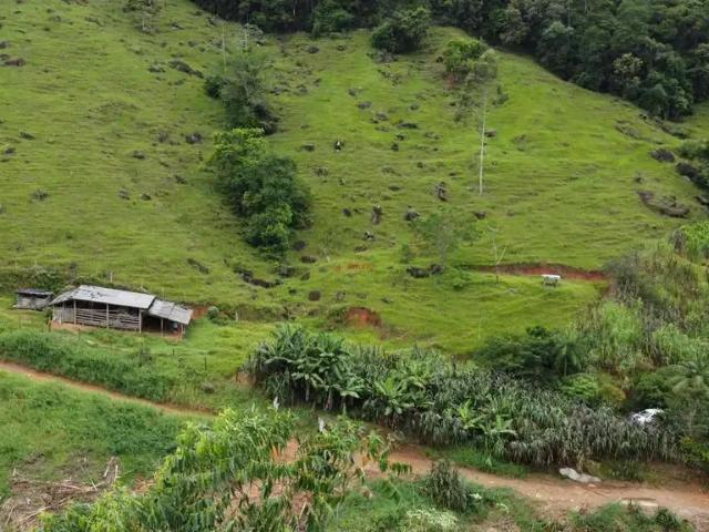 Sítio e chácara venda em Região Geográfica Imediata de Florianópolis, Antônio Carlos
