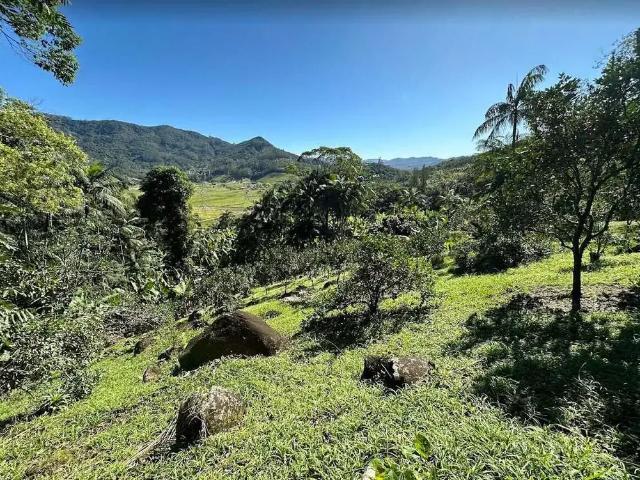 Sítio e chácara venda em Região Geográfica Imediata de Florianópolis, Antônio Carlos