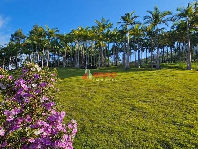 Sitio venda em Antônio Carlos, Centro