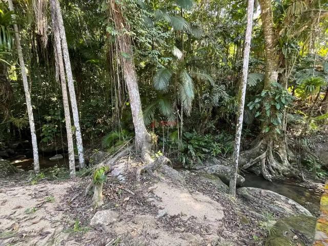Sítio e chácara venda em Região Geográfica Imediata de Florianópolis, Antônio Carlos