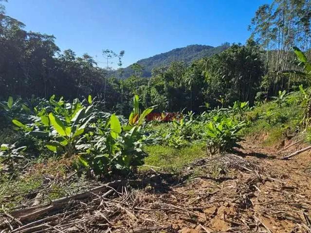 Sítio e chácara venda em Região Geográfica Imediata de Florianópolis, Antônio Carlos