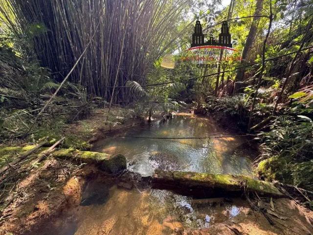 Sítio e chácara venda em Região Geográfica Imediata de Florianópolis, Antônio Carlos