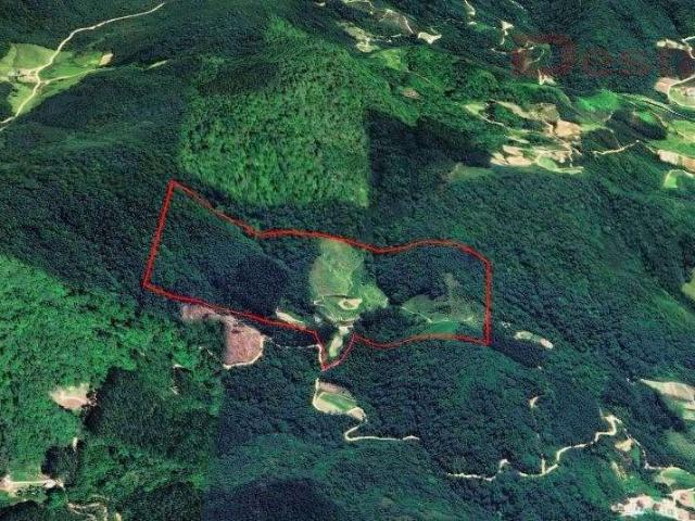 Sítio e chácara venda em Antônio Carlos, Centro