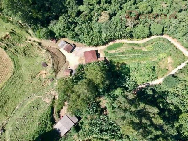 Sítio e chácara venda em Região Geográfica Imediata de Florianópolis, Antônio Carlos
