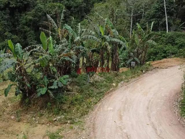 Sítio e chácara venda em Região Geográfica Imediata de Florianópolis, Antônio Carlos