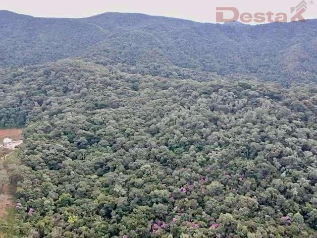 Sítio e chácara venda em Antônio Carlos, Centro Sítio e chácara venda em Antônio Carlos, Centro