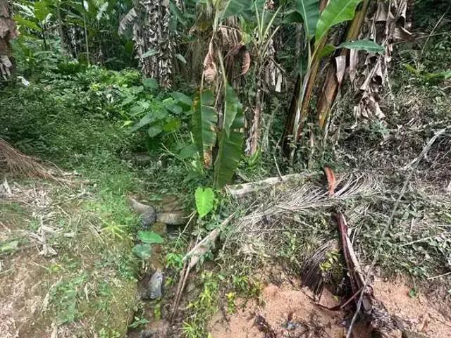 Sítio e chácara venda em Região Geográfica Imediata de Florianópolis, Antônio Carlos