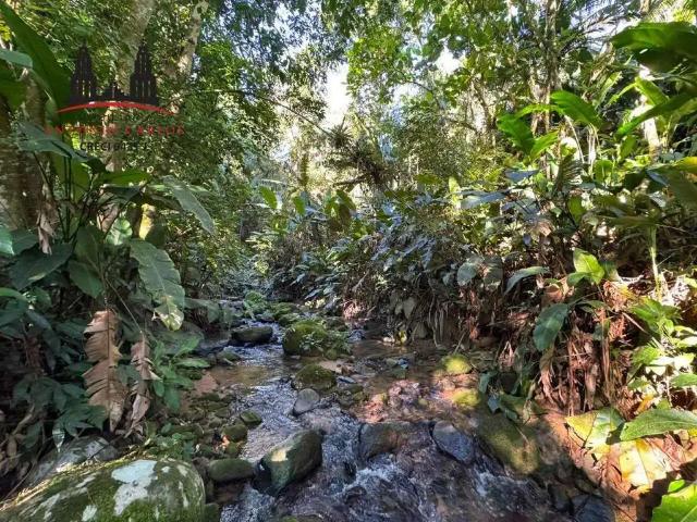 Sítio e chácara venda em Região Geográfica Imediata de Florianópolis, Antônio Carlos