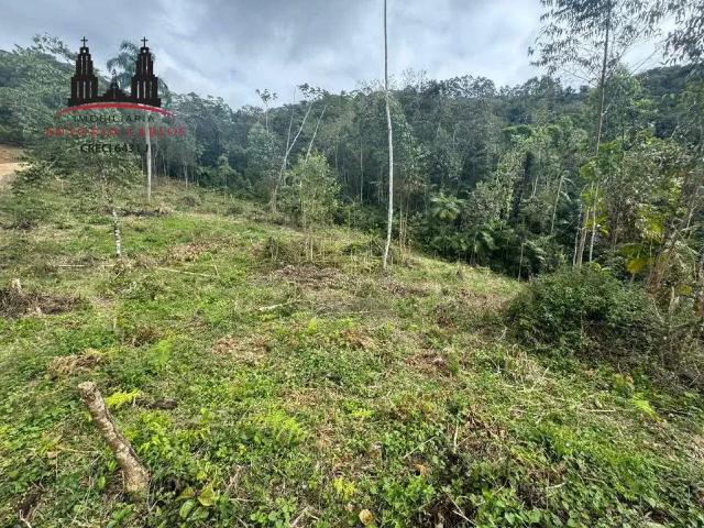 Sítio e chácara venda em Região Geográfica Imediata de Florianópolis, Antônio Carlos