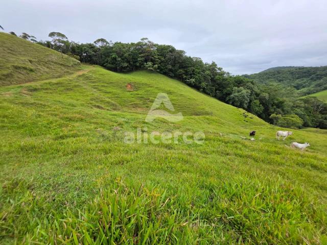 Sítio e chácara venda em Região Geográfica Imediata de Florianópolis, Antônio Carlos