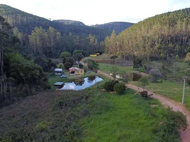 Sítio e chácara venda em Antônio Dias, Região Geográfica Intermediária de Ipatinga