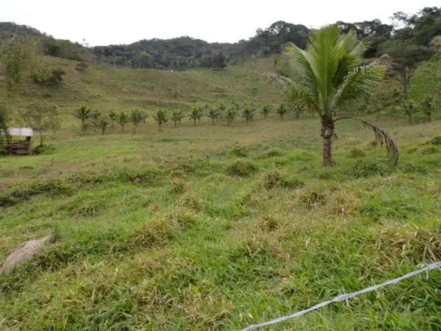 Sítio e chácara venda em Região Geográfica Imediata de Ipatinga, Antônio Dias