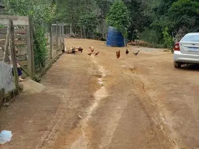 Sítio e chácara venda em Região Geográfica Imediata de Ipatinga, Antônio Dias