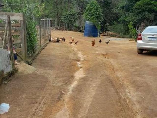 Sítio e chácara venda em Região Geográfica Imediata de Ipatinga, Antônio Dias