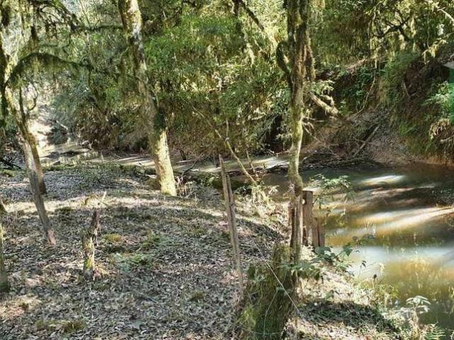 Sítio e chácara venda em Antônio Olinto, Região Geográfica Intermediária de Curitiba