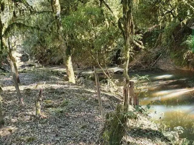 Sítio e chácara venda em Região Geográfica Imediata de União da Vitória, Antônio Olinto