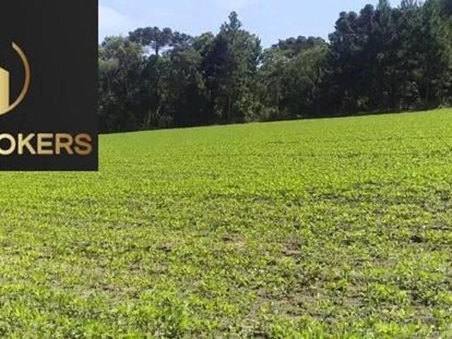 Sítio e chácara venda em Antônio Olinto, Região Geográfica Intermediária de Curitiba