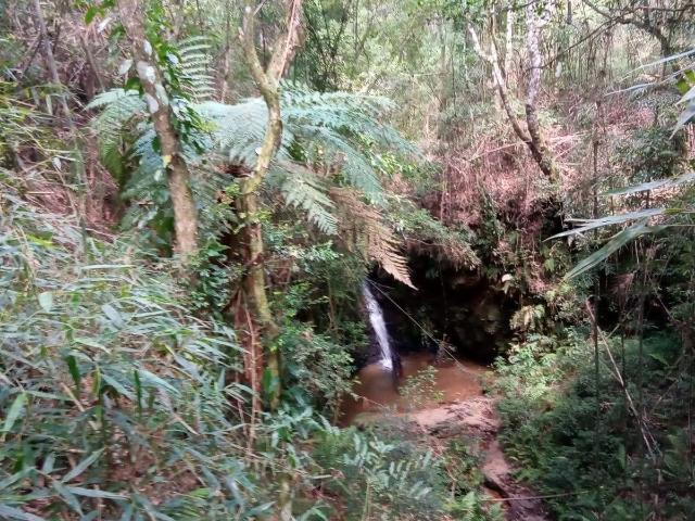 Sítio e chácara venda em Antônio Olinto, Região Geográfica Intermediária de Curitiba
