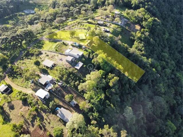 Sítio e chácara venda em Região Geográfica Imediata de Caxias do Sul, Antônio Prado