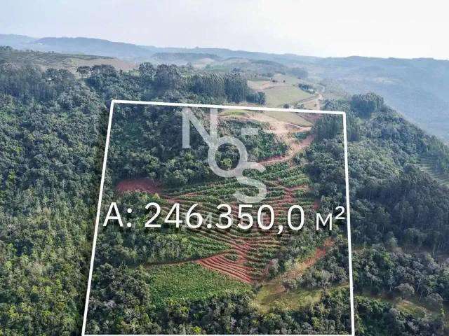 Sítio e chácara venda em Região Geográfica Imediata de Caxias do Sul, Antônio Prado