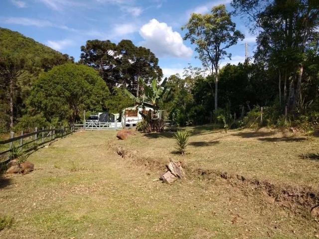 Sítio e chácara venda em Região Geográfica Imediata de Caxias do Sul, Antônio Prado