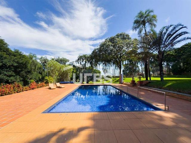 Sitio venda em Aparecida de Goiânia