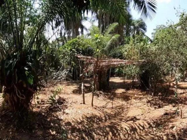 Sítio e chácara venda em Região Geográfica Imediata de Goiânia, Aparecida de Goiânia