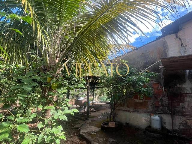 Sítio e chácara venda em Jardim Helvécia, Aparecida de Goiânia