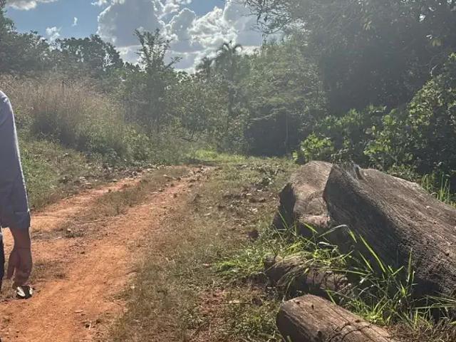 Sítio e chácara venda em Região Geográfica Imediata de Goiânia, Aparecida de Goiânia