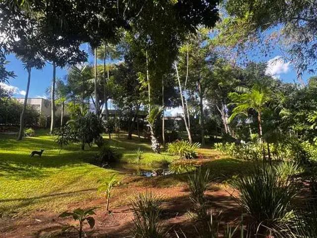 Sítio e chácara venda em Região Geográfica Imediata de Goiânia, Aparecida de Goiânia