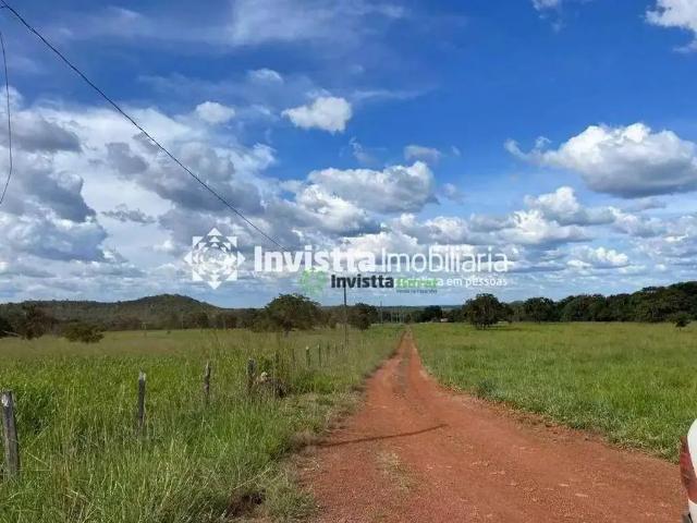Sítio e chácara venda em Região Geográfica Imediata de Palmas, Aparecida do Rio Negro