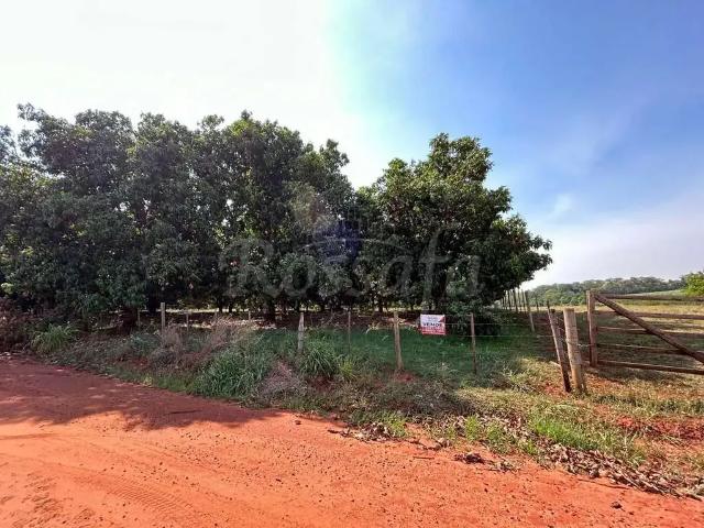 Sítio e chácara venda em Região Imediata de Jales, Aparecida d'Oeste