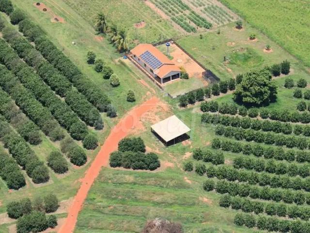 Sítio e chácara venda em Região Imediata de Jales, Aparecida d'Oeste