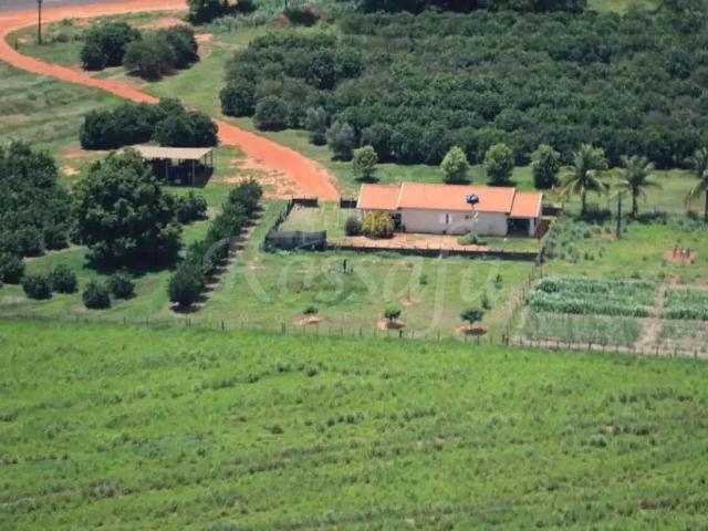 Sítio e chácara venda em Região Imediata de Jales, Região Sudeste