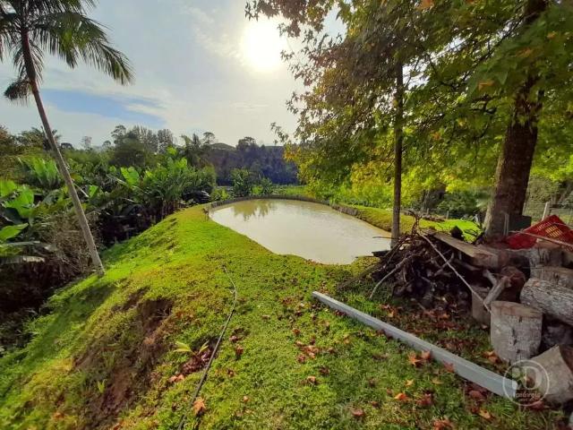 Sítio e chácara venda em Região Geográfica Imediata de Blumenau, Apiuna