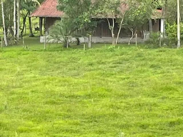 Sítio e chácara venda em Região Geográfica Imediata de Blumenau, Apiuna