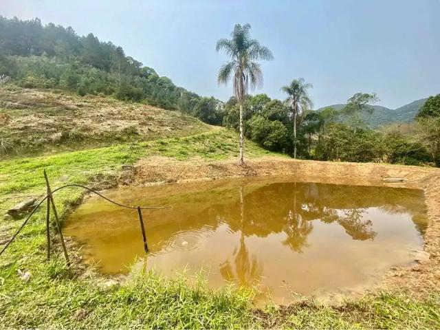 Sítio e chácara venda em Região Geográfica Imediata de Blumenau, Apiuna