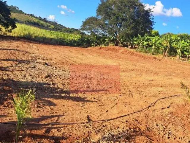 Sítio e chácara venda em Região Geográfica Imediata de Apucarana, Apucarana