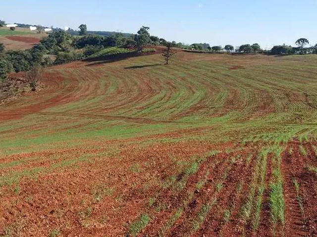 Sítio e chácara venda em Região Geográfica Imediata de Apucarana, Apucarana